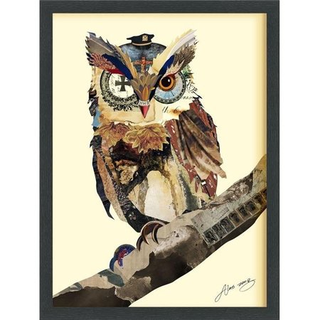 EMPIRE ART DIRECT Empire Art Direct DAC-022-2519B The Wisest Owl - Dimensional Art Collage Hand Signed by Alex Zeng Framed Graphic Wall Art DAC-022-2519B